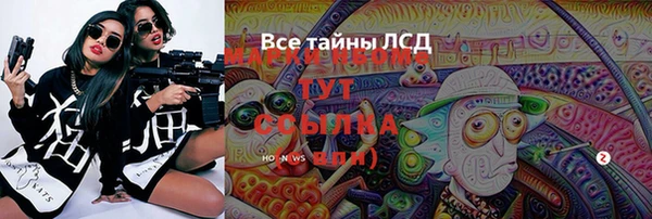 гашиш Богданович