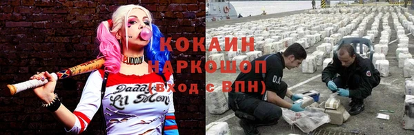 соль курить ск Бородино