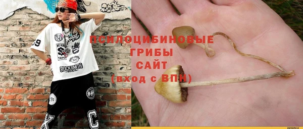 гашиш Богданович